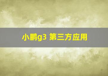 小鹏g3 第三方应用